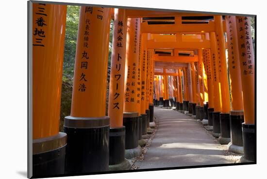 Senbon Torii (1,000 Torii Gates), Fushimi Inari Taisha Shrine, Kyoto, Japan-Stuart Black-Mounted Photographic Print