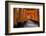 Senbon Torii (1,000 Torii Gates), Fushimi Inari Taisha Shrine, Kyoto, Japan-Stuart Black-Framed Photographic Print