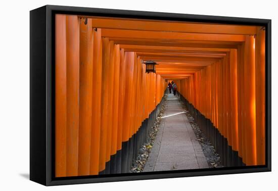 Senbon Torii, thousands of Torii gates, in Fushimi Inari Shrine, Kyoto, Japan-Keren Su-Framed Premier Image Canvas