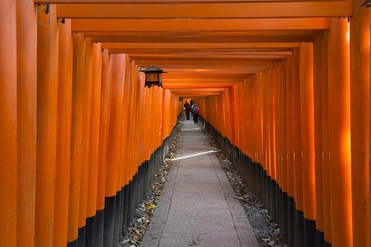 Senbon Torii Thousands Of Torii Gates In Fushimi Inari Shrine Kyoto Japan Premium Photographic Print Keren Su Art Com Senbon Torii Thousands Of Torii Gates In Fushimi Inari Shrine Kyoto Japan Premium Photographic Print Keren Su Art Com