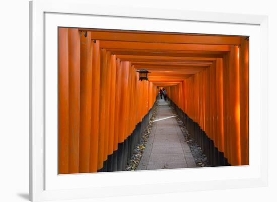 Senbon Torii, thousands of Torii gates, in Fushimi Inari Shrine, Kyoto, Japan-Keren Su-Framed Premium Photographic Print