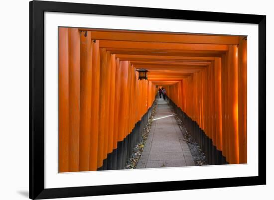 Senbon Torii, thousands of Torii gates, in Fushimi Inari Shrine, Kyoto, Japan-Keren Su-Framed Premium Photographic Print