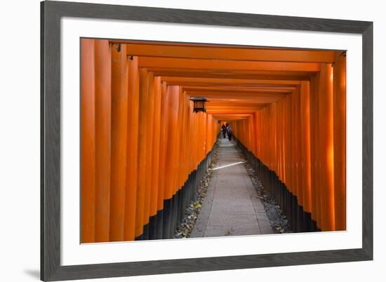 Senbon Torii, thousands of Torii gates, in Fushimi Inari Shrine, Kyoto, Japan-Keren Su-Framed Premium Photographic Print