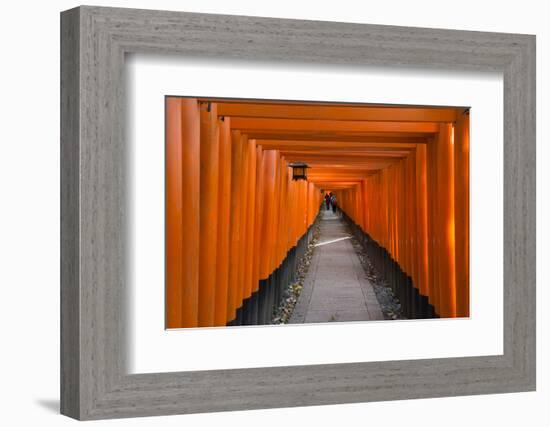 Senbon Torii, thousands of Torii gates, in Fushimi Inari Shrine, Kyoto, Japan-Keren Su-Framed Photographic Print