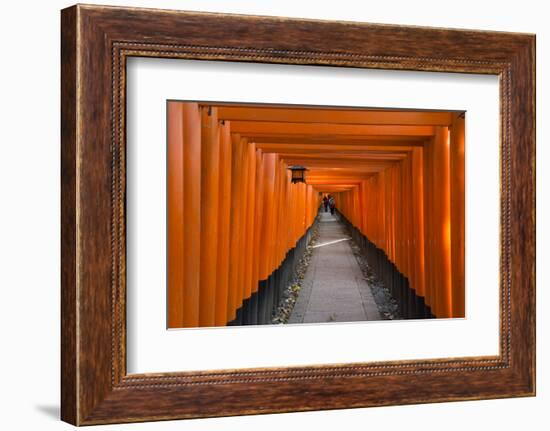 Senbon Torii, thousands of Torii gates, in Fushimi Inari Shrine, Kyoto, Japan-Keren Su-Framed Photographic Print