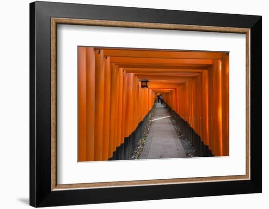 Senbon Torii, thousands of Torii gates, in Fushimi Inari Shrine, Kyoto, Japan-Keren Su-Framed Photographic Print