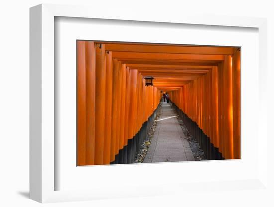 Senbon Torii, thousands of Torii gates, in Fushimi Inari Shrine, Kyoto, Japan-Keren Su-Framed Photographic Print