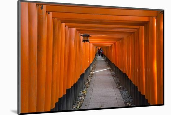 Senbon Torii, thousands of Torii gates, in Fushimi Inari Shrine, Kyoto, Japan-Keren Su-Mounted Photographic Print