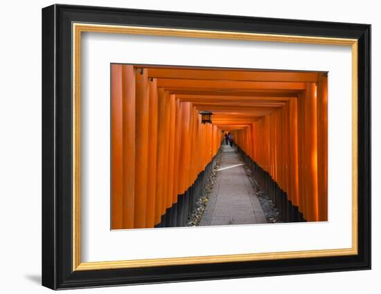 Senbon Torii, thousands of Torii gates, in Fushimi Inari Shrine, Kyoto, Japan-Keren Su-Framed Photographic Print