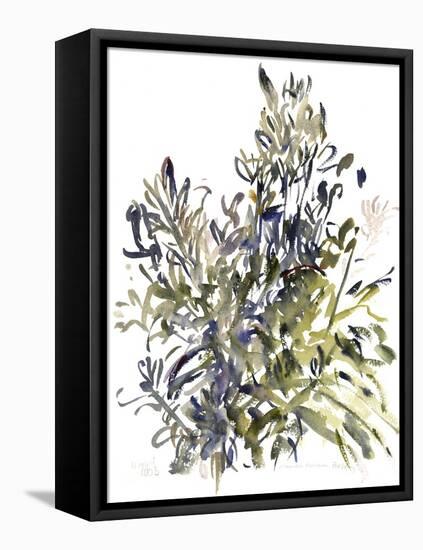 Senecio and other plants, 2003-Claudia Hutchins-Puechavy-Framed Premier Image Canvas