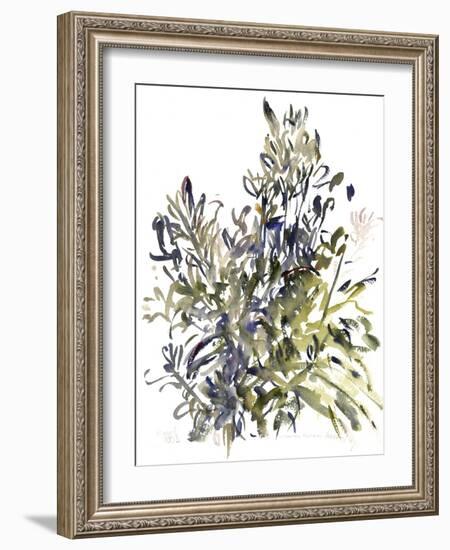 Senecio and other plants, 2003-Claudia Hutchins-Puechavy-Framed Giclee Print