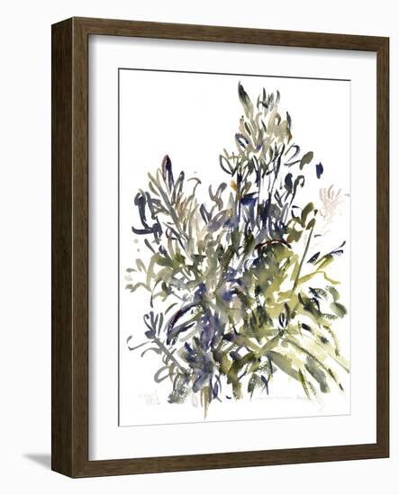 Senecio and other plants, 2003-Claudia Hutchins-Puechavy-Framed Giclee Print