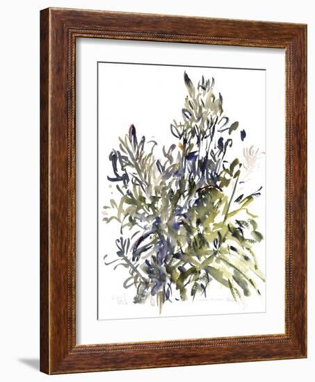 Senecio and other plants, 2003-Claudia Hutchins-Puechavy-Framed Giclee Print