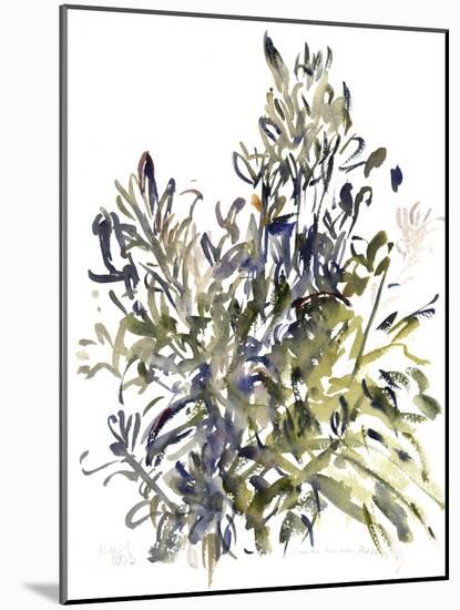 Senecio and other plants, 2003-Claudia Hutchins-Puechavy-Mounted Giclee Print