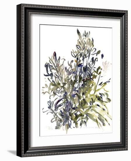 Senecio and other plants, 2003-Claudia Hutchins-Puechavy-Framed Giclee Print