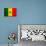 Senegal Flag Design with Wood Patterning - Flags of the World Series-Philippe Hugonnard-Premium Giclee Print displayed on a wall