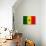 Senegal Flag Design with Wood Patterning - Flags of the World Series-Philippe Hugonnard-Premium Giclee Print displayed on a wall