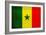 Senegal Flag Design with Wood Patterning - Flags of the World Series-Philippe Hugonnard-Framed Premium Giclee Print