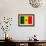 Senegal Flag Design with Wood Patterning - Flags of the World Series-Philippe Hugonnard-Framed Premium Giclee Print displayed on a wall