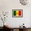 Senegal Flag Design with Wood Patterning - Flags of the World Series-Philippe Hugonnard-Framed Premium Giclee Print displayed on a wall