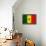 Senegal Flag Design with Wood Patterning - Flags of the World Series-Philippe Hugonnard-Framed Stretched Canvas displayed on a wall