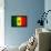 Senegal Flag Design with Wood Patterning - Flags of the World Series-Philippe Hugonnard-Framed Stretched Canvas displayed on a wall