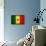 Senegal Flag Design with Wood Patterning - Flags of the World Series-Philippe Hugonnard-Framed Stretched Canvas displayed on a wall