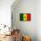 Senegal Flag Design with Wood Patterning - Flags of the World Series-Philippe Hugonnard-Framed Stretched Canvas displayed on a wall