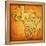 Senegal on Actual Map of Africa-michal812-Framed Stretched Canvas