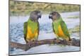 Premium Photographic Print