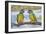 Senegal Parrot Two-null-Framed Photographic Print