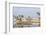 Senegal River and the City of Saint Louis-Bruno Morandi-Framed Photographic Print