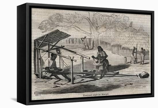 Senegalese black weaver-French School-Framed Premier Image Canvas