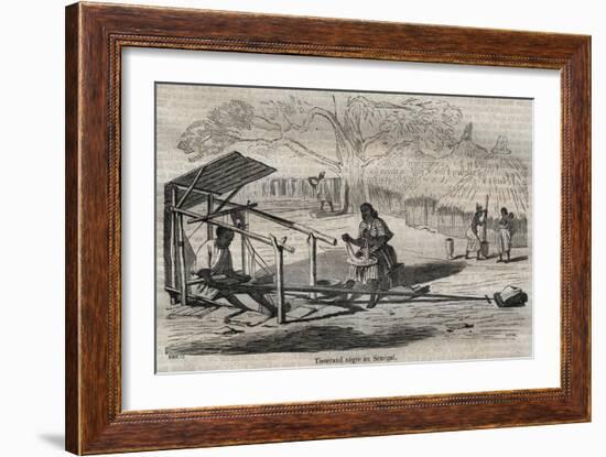 Senegalese black weaver-French School-Framed Giclee Print