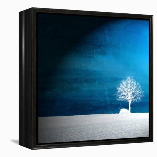 Sensation in Blue-Philippe Sainte-Laudy-Framed Premier Image Canvas