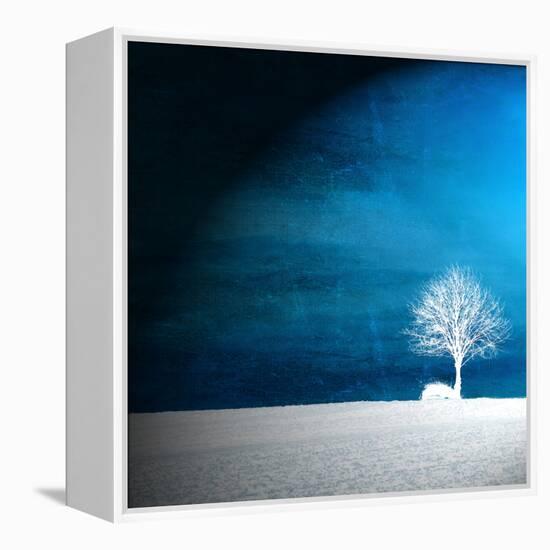 Sensation in Blue-Philippe Sainte-Laudy-Framed Premier Image Canvas