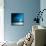 Sensation in Blue-Philippe Sainte-Laudy-Mounted Premium Photographic Print displayed on a wall