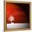 Sensation in Red-Philippe Sainte-Laudy-Framed Premier Image Canvas