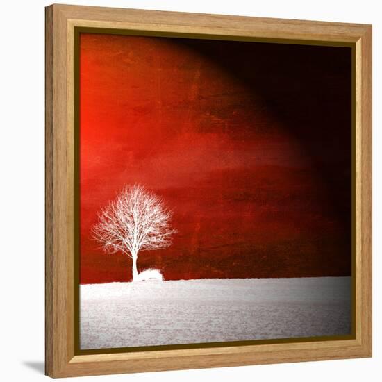 Sensation in Red-Philippe Sainte-Laudy-Framed Premier Image Canvas