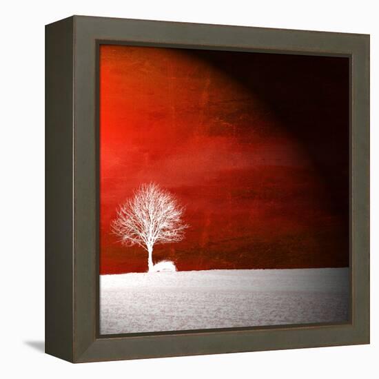 Sensation in Red-Philippe Sainte-Laudy-Framed Premier Image Canvas