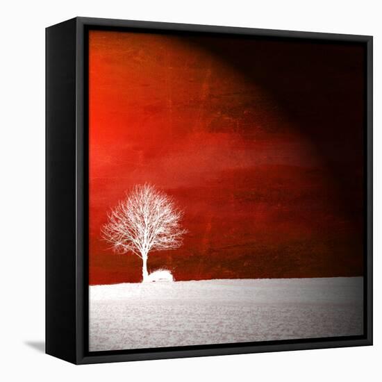 Sensation in Red-Philippe Sainte-Laudy-Framed Premier Image Canvas