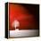 Sensation in Red-Philippe Sainte-Laudy-Framed Premier Image Canvas