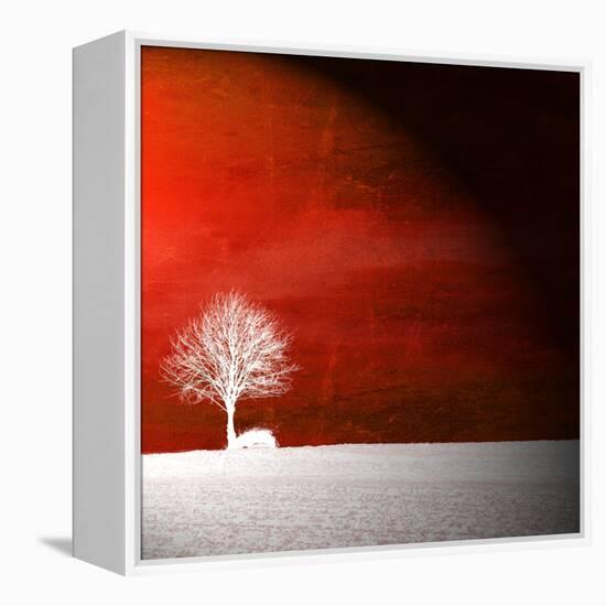 Sensation in Red-Philippe Sainte-Laudy-Framed Premier Image Canvas