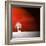 Sensation in Red-Philippe Sainte-Laudy-Framed Photographic Print