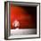 Sensation in Red-Philippe Sainte-Laudy-Framed Photographic Print