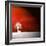 Sensation in Red-Philippe Sainte-Laudy-Framed Photographic Print