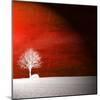 Sensation in Red-Philippe Sainte-Laudy-Mounted Photographic Print
