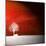 Sensation in Red-Philippe Sainte-Laudy-Mounted Photographic Print