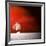 Sensation in Red-Philippe Sainte-Laudy-Framed Photographic Print