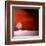 Sensation in Red-Philippe Sainte-Laudy-Framed Premium Photographic Print